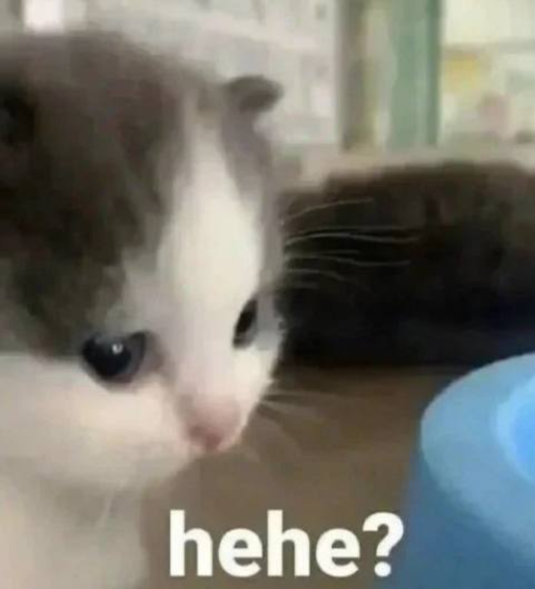 hehe?